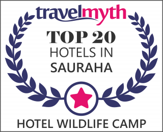 Sauraha hotels