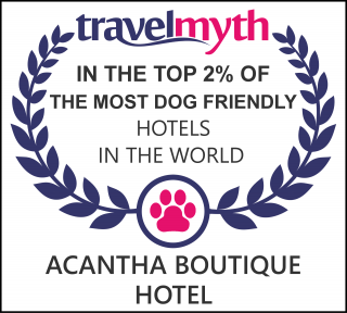 Ereikoussa dog friendly hotels